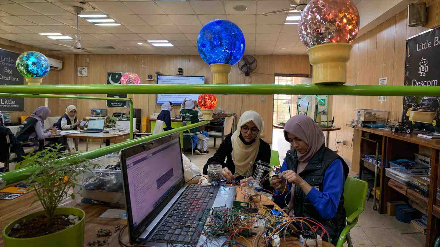 Stem labs
